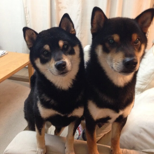 冰与火之歌，卡瓦哈尔点燃极寒之战，冰岛火山熔解阿森纳铁幕