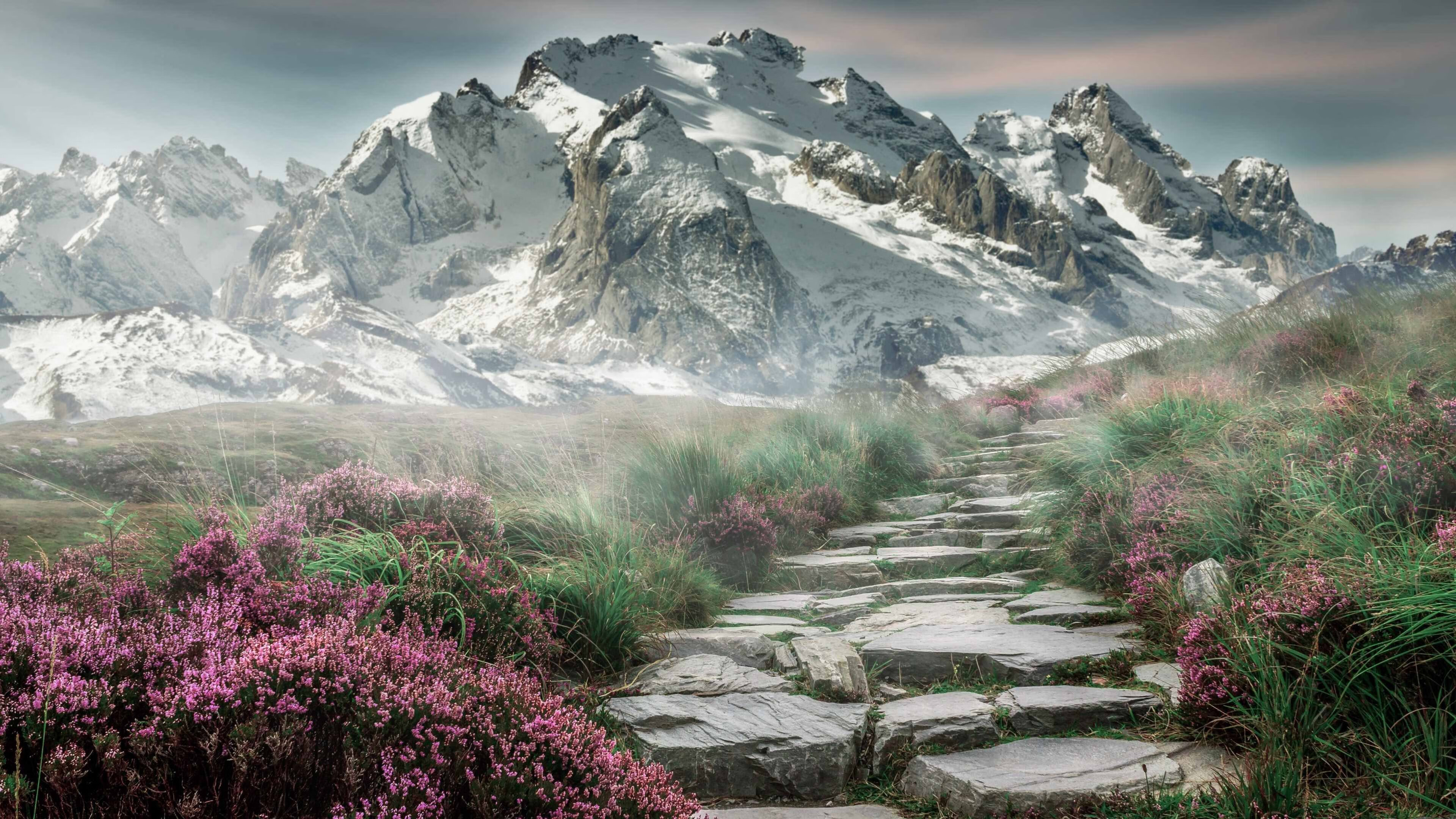 三色交响，若日尼奥的节奏，拜仁的铁血，波兰的终章